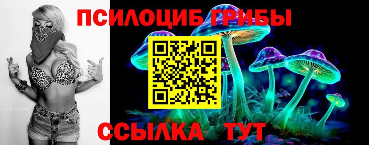 купить наркотики цена  Галлюциногенные грибы Psilocybine cubensis  Вход с VPN  Павлово 