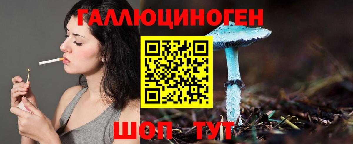 Галлюциногенные грибы Psilocybe Павлово
